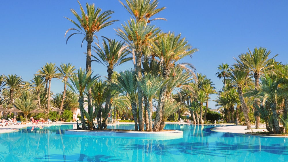 Palmen rund um einen türkisfarbenen Pool auf Djerba; mit eSIM entspannt online bleiben