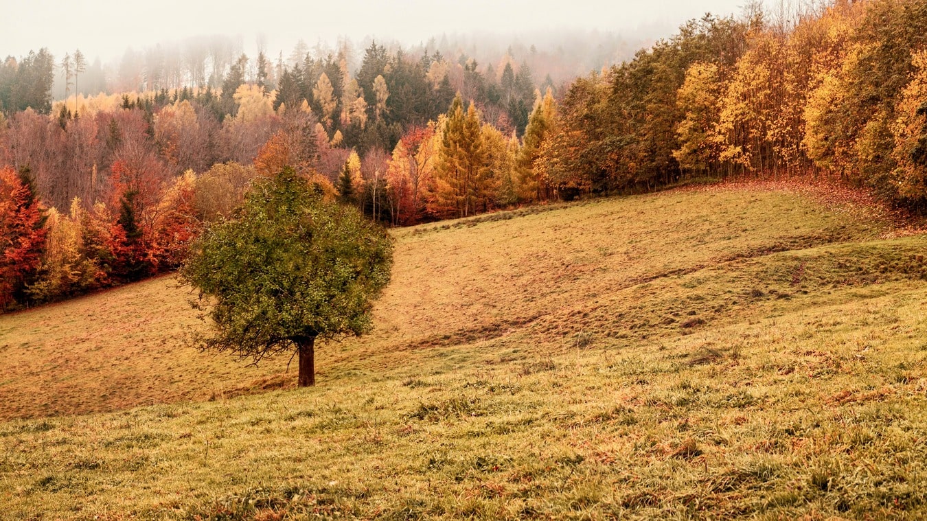 Simkaart Luxemburg