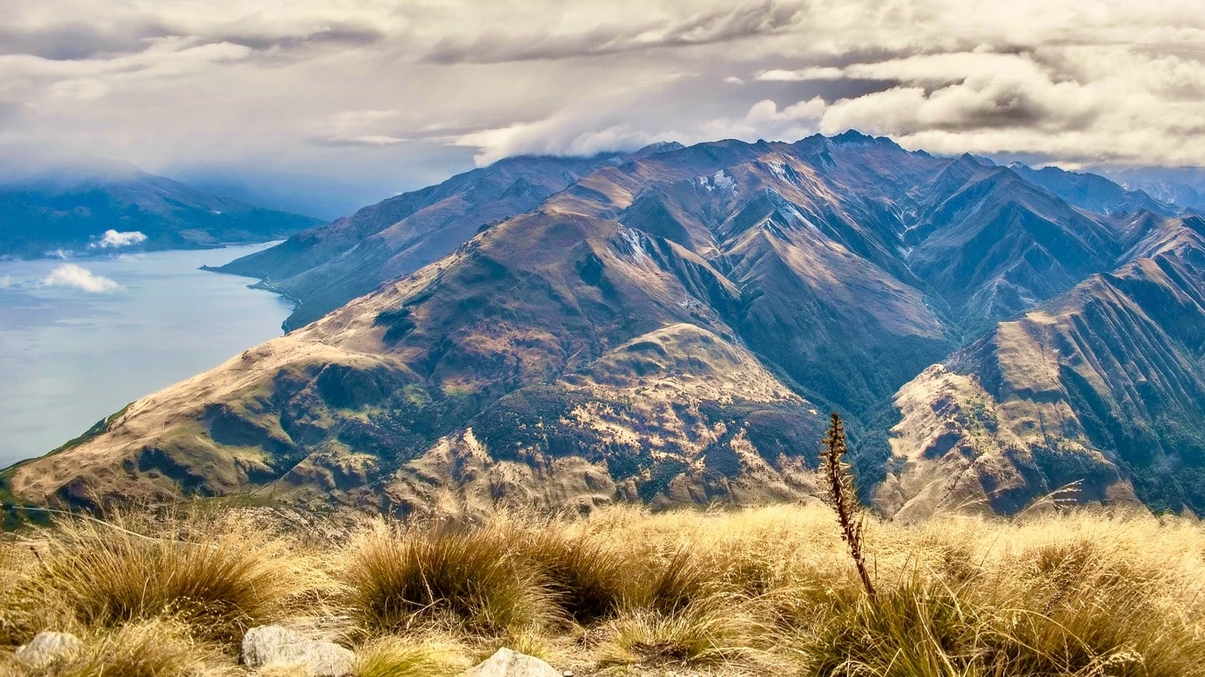 Simkaart Nieuw Zeeland