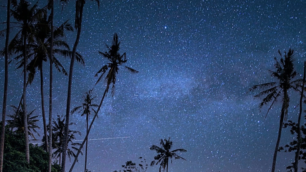 Sterrenhemel boven de palmbomen van Bali; blijf verbonden, zelfs onder de tropische nacht