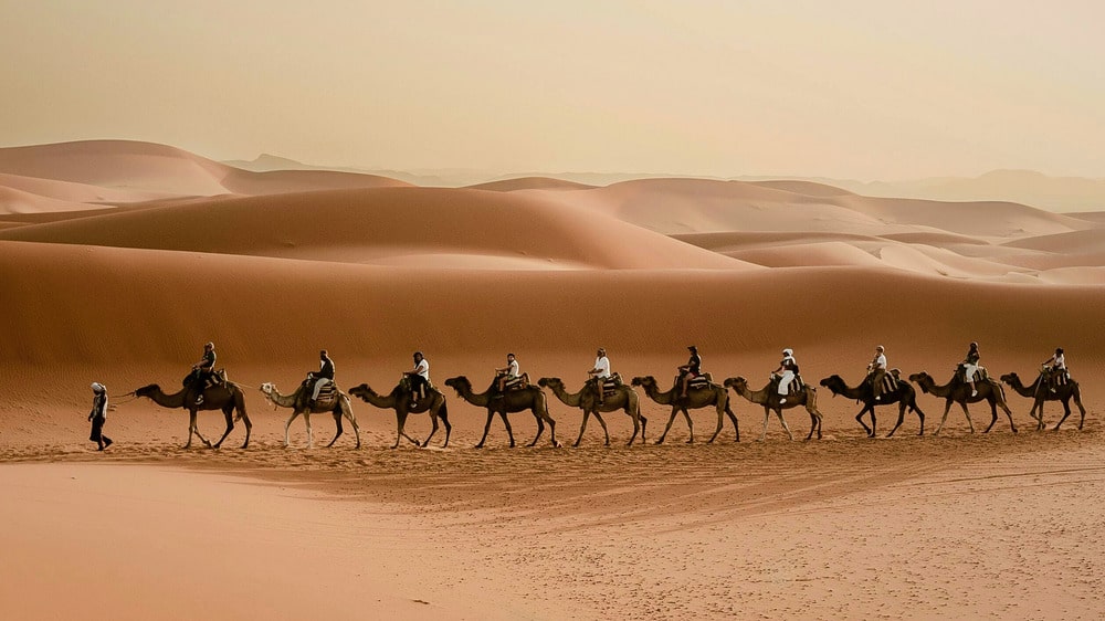 Using your mobile phone for internet and calls in Tunisia